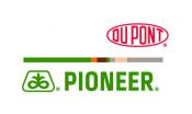 Pioneer Hi-Bred Canada Company